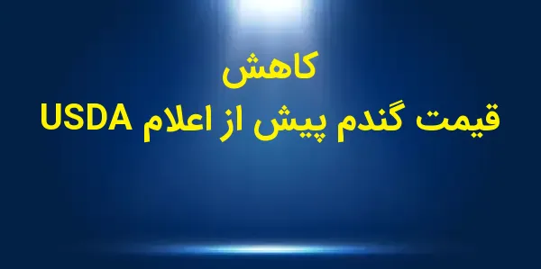 بازار گندم در آغاز معاملات امر...